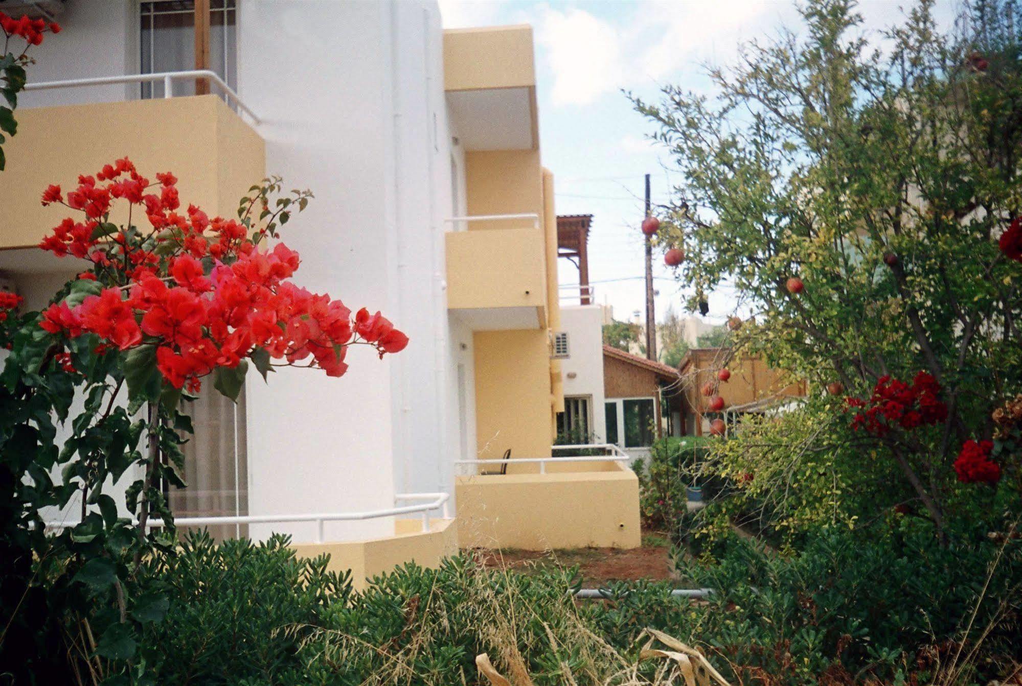Dimitra Apartments 구베스 외부 사진